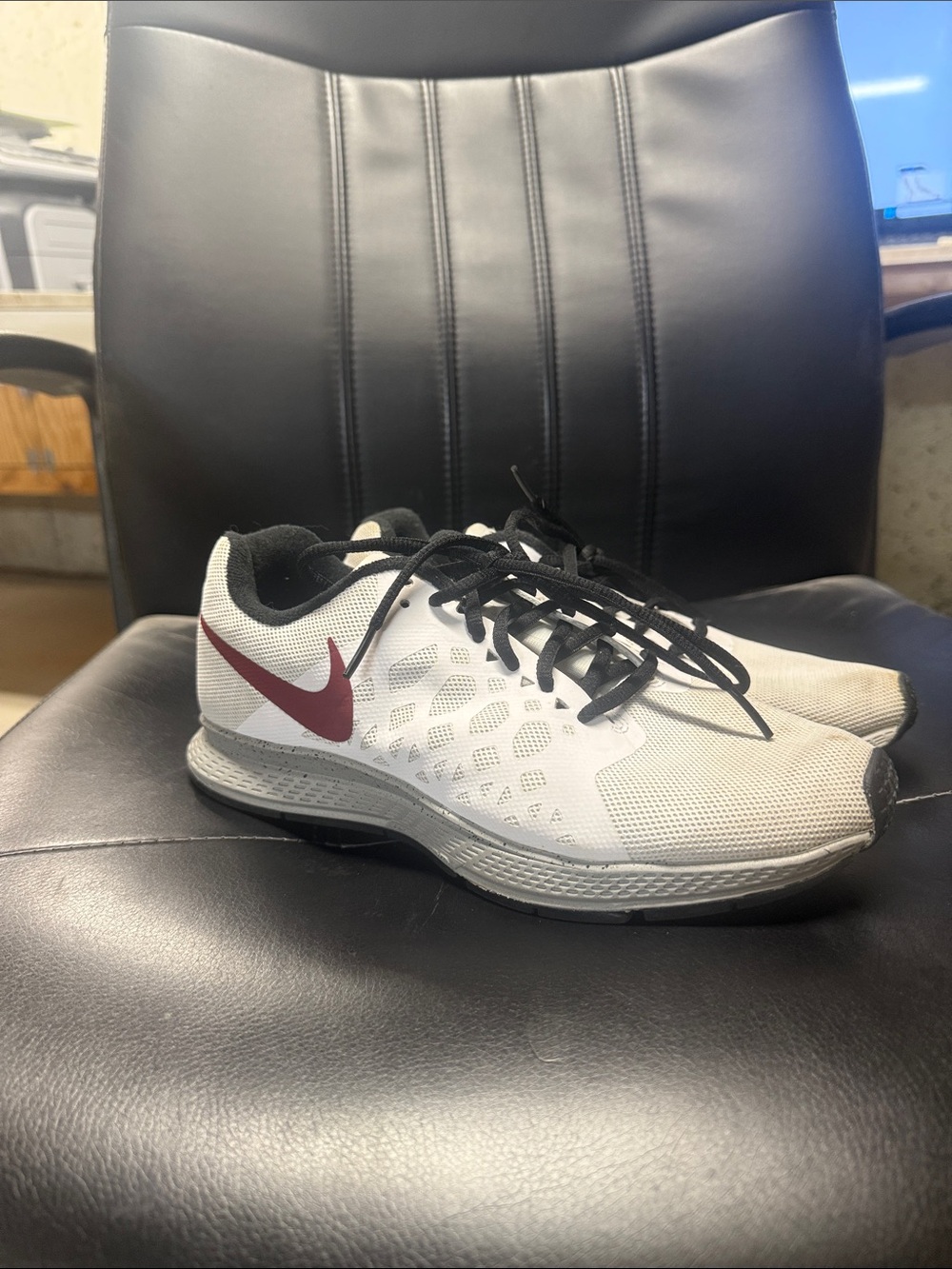 Nike Zoom Pegasus 31